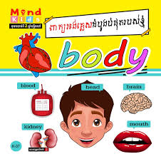 [MB K-07] Body ពាក្យអង់គ្លេសដំបូងបំផុតរបស់ខ្ញុំ K-07