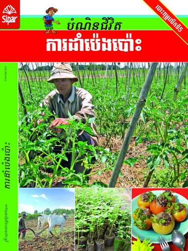 ការដាំប៉េងប៉ោះ (NF08)